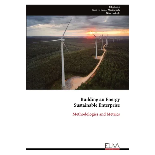 Building an Energy Sustainable Enterprise: Methodologies and Metrics