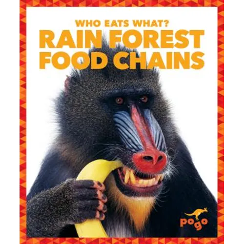 Rain Forest Food Chains