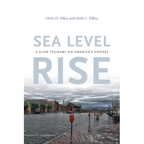 Sea Level Rise: A Slow Tsunami on America's Shores
