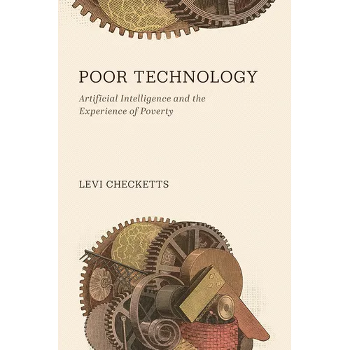 Poor Technology: Artificial Intelligence and the Experience of Poverty