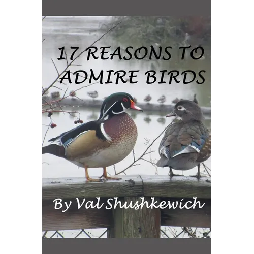 17 Reasons to Admire Birds