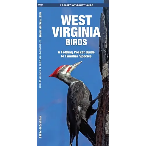 West Virginia Birds: An Introduction to Familiar Species