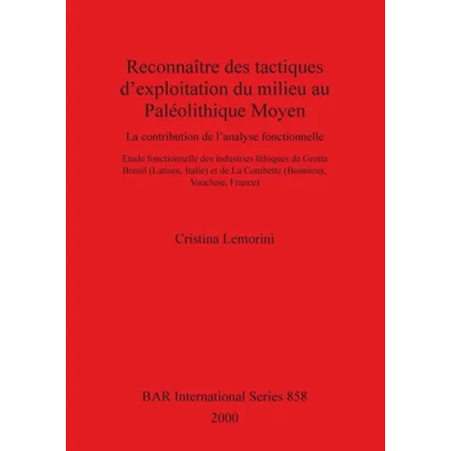 Reconnaître des tactiques d'exploitation du milieu au Paléolithique Moyen: La contribution de l'analyse fonctionnelle - Etude fonctionnelle des indust