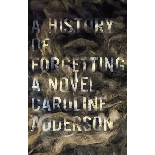A History of Forgetting