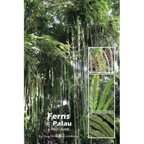 Ferns of Palau: A Field Guide