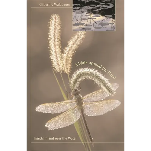 A Walk Around the Pond: Insects in and Over the Water