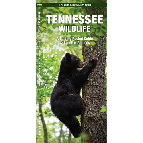Tennessee Wildlife: A Folding Pocket Guide to Familiar Animals