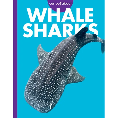 Curious about Whale Sharks