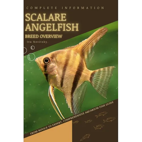 Scalare Angelfish: From Novice to Expert. Comprehensive Aquarium Fish Guide