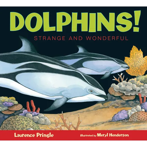 Dolphins!