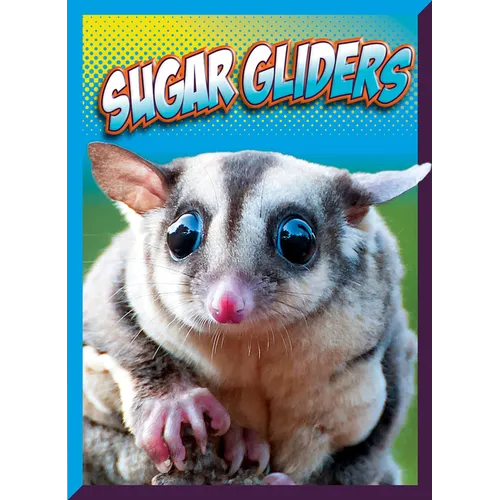 Sugar Gliders