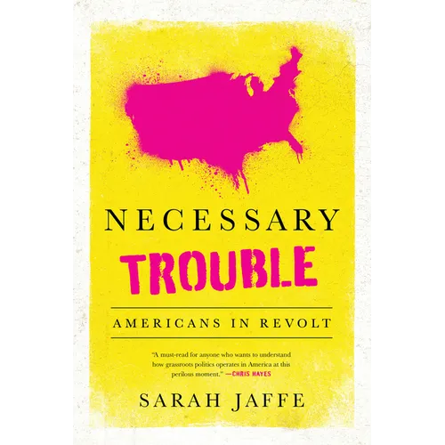 Necessary Trouble: Americans in Revolt