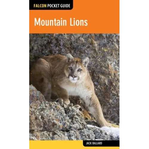 Mountain Lions