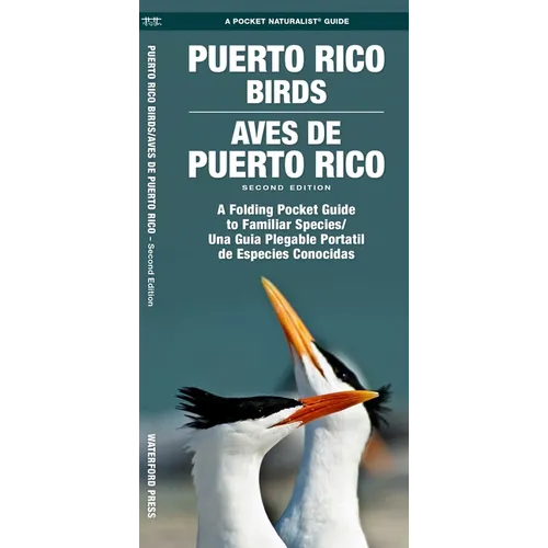 Puerto Rico Birds/Aves de Puerto Rico, 2nd Ed: A Folding Pocket Guide to Familiar Species/Una Guia Plegable Portatil de Especies Conocidas