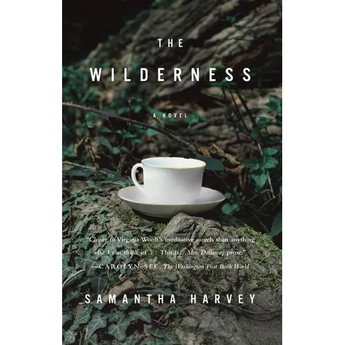 The Wilderness