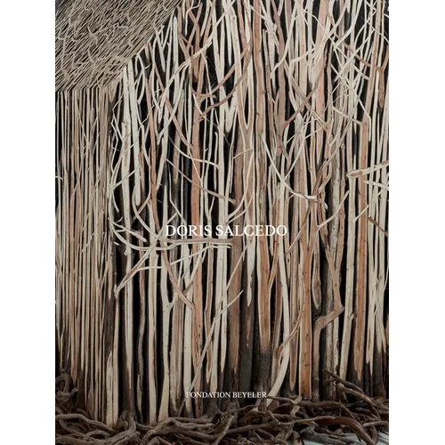 Doris Salcedo