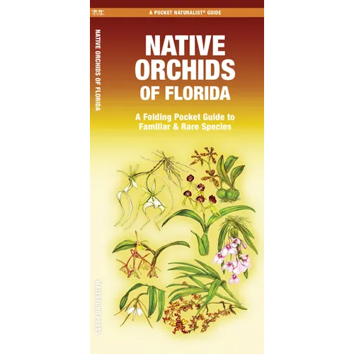 Native Orchids of Florida