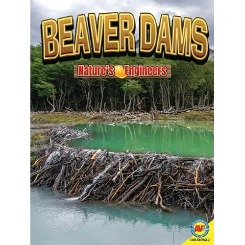 Beaver Dams