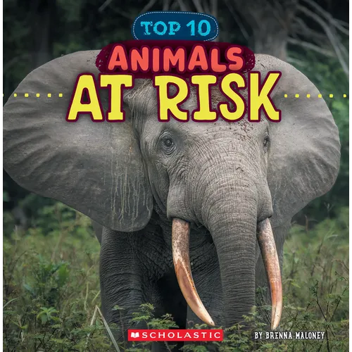 Animals at Risk (Wild World: Top 10)