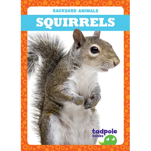 Squirrels