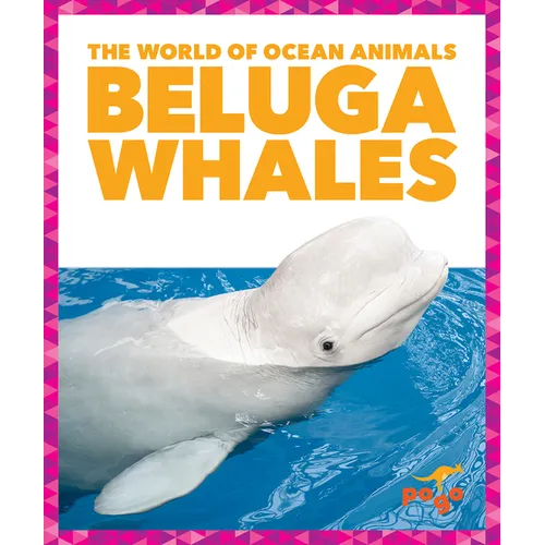 Beluga Whales