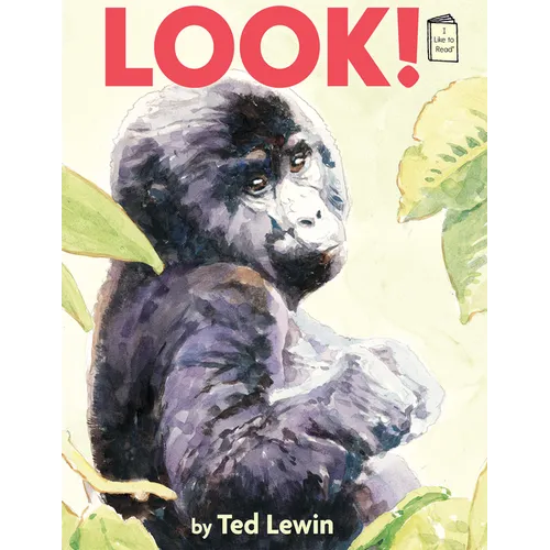 Look!