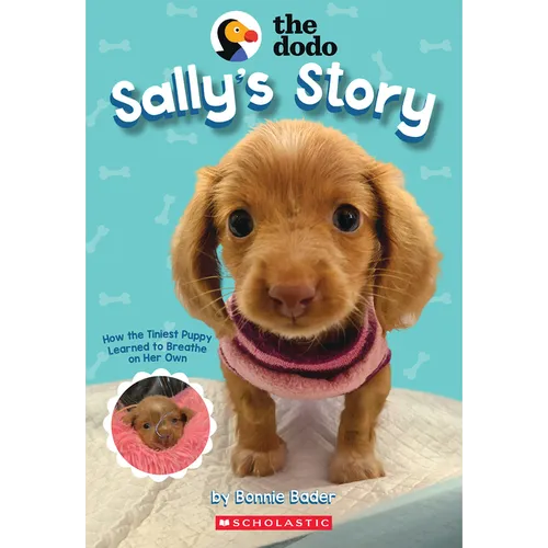 Sally's Story (the Dodo)