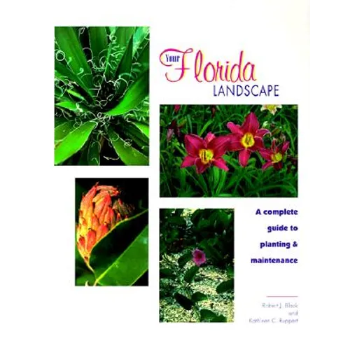 Your Florida Landscape: A Complete Guide to Planting and Maintenance