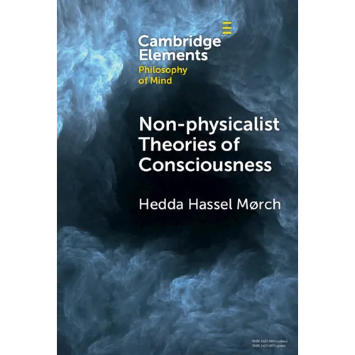 Non-physicalist Theories of Consciousness