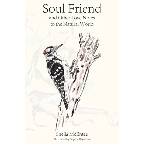 Soul Friend: And Other Love Notes to the Natural World