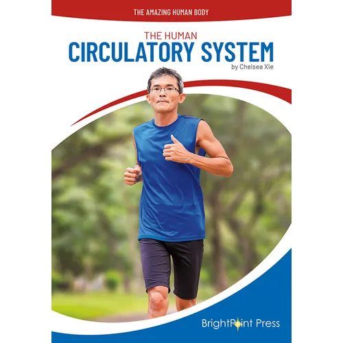 The Human Circulatory System