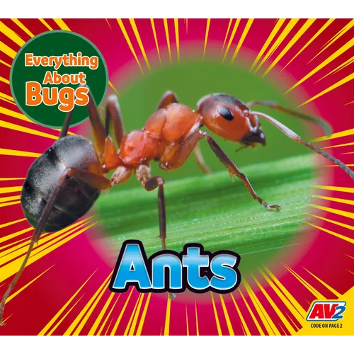 Ants