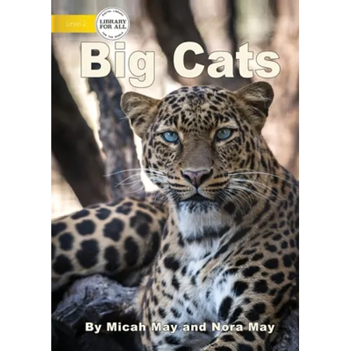 Big Cats