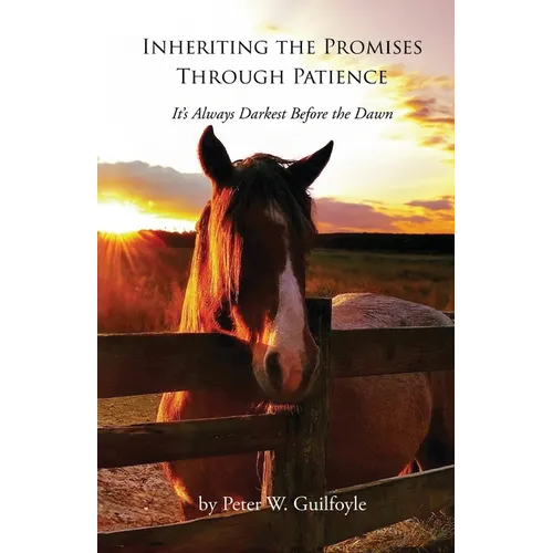Inheriting the Promises Through Patience: It's Always Darkest Before the Dawn