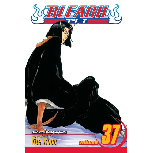Bleach, Vol. 37