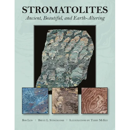 Stromatolites: Ancient, Beautiful, and Earth-Altering