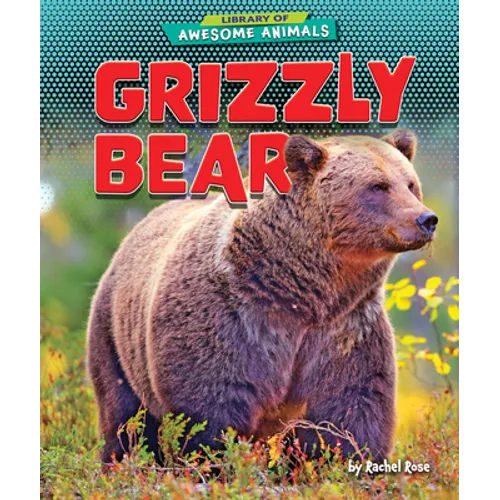 Grizzly Bear