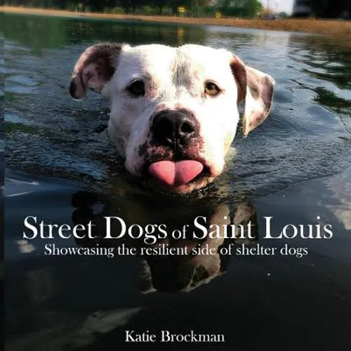 Street Dogs of Saint Louis: Showcasing the resilient side of shelter dogs