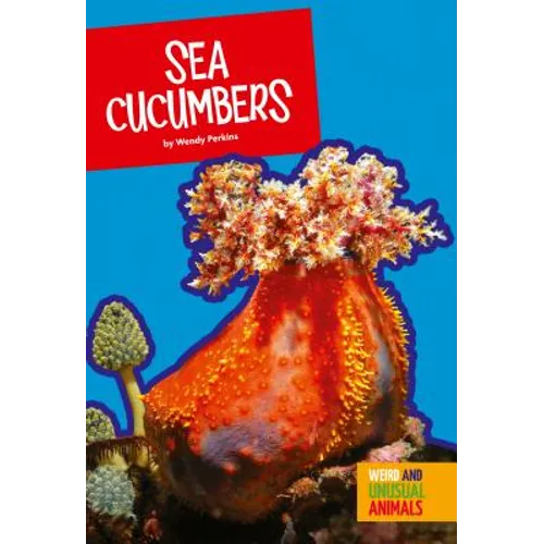 Sea Cucumbers