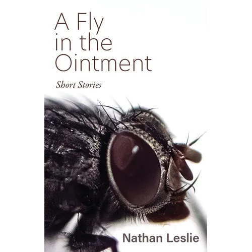 A Fly in the Ointment: Short Stories