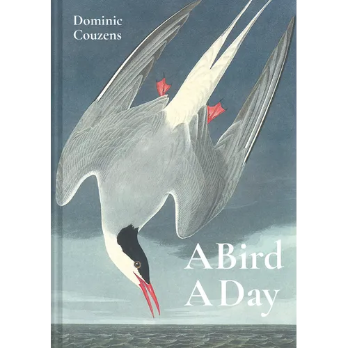 Bird a Day