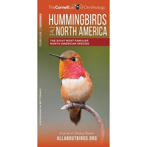Hummingbirds of North America: The Eight Most Familiar North American Species