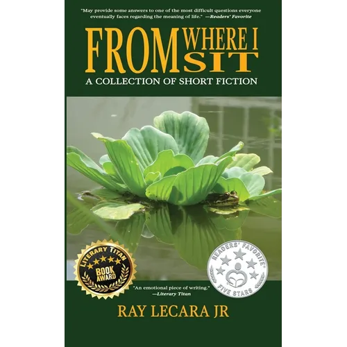 From Where I Sit: A Collection of Short Fiction