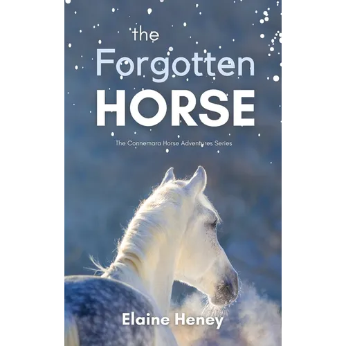 The Forgotten Horse - Book 1 in the Connemara Horse Adventure Series for Kids The Perfect Gift for Children