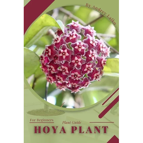 Hoya plant: Plant Guide