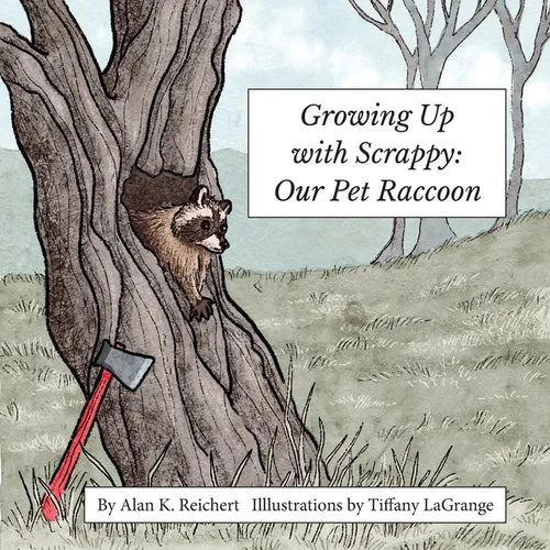 Growing up with Scrappy Our Pet Raccoon