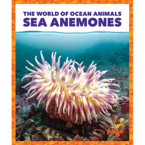 Sea Anemones
