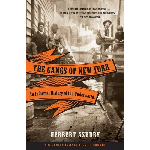 The Gangs of New York: An Informal History of the Underworld