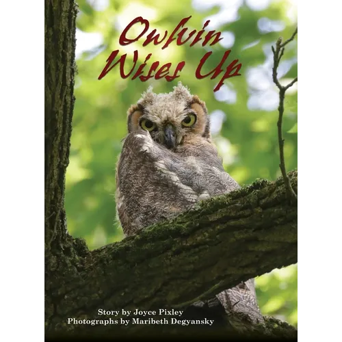 Owlvin Wises Up