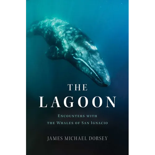 The Lagoon: Encounters with the Whales of San Ignacio